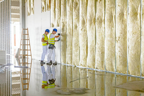 Best Insulation Replacement Services  in Niagara, WI